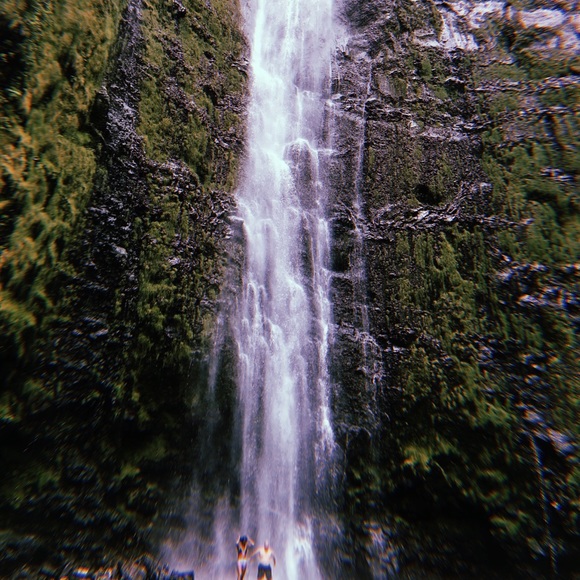 Meet your Posher, Sreya - Picture 1 of 1